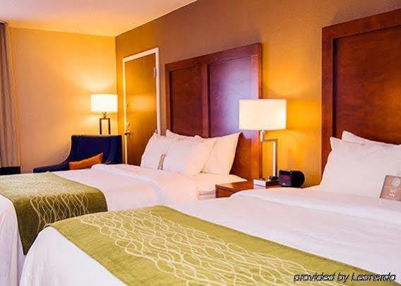 Comfort Inn & Suites Kearsarge Luaran gambar