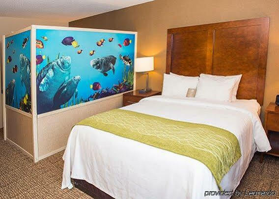 Comfort Inn & Suites Kearsarge Luaran gambar
